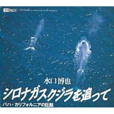 楽天市場 シンフォレスト Windows3 1 95 Mac漢字talk7以降 Cdソフト シロナガスクジラを追って 水口博也 商品口コミ レビュー 価格比較 商品価格ナビ 楽天市場 シンフォレスト Windows3 1 95 Mac漢字talk7以降 Cdソフト シロナガスクジラを追って 水口博也 商品口コミ レビュー 価格比較 商品価格ナビ
